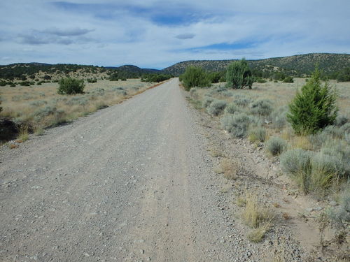 GDMBR: We're climbing up NF-214 (not in the National Forest yet).